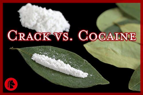 cocaine vs crack